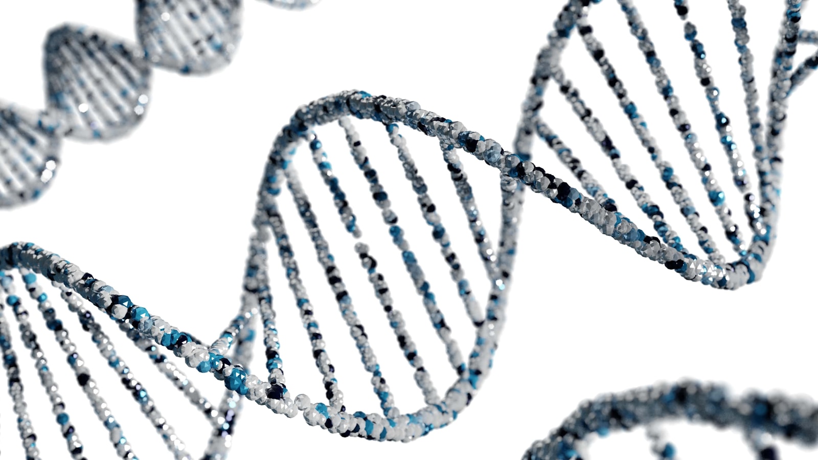 Biotech Firm Seeks Support After FDA Rejection