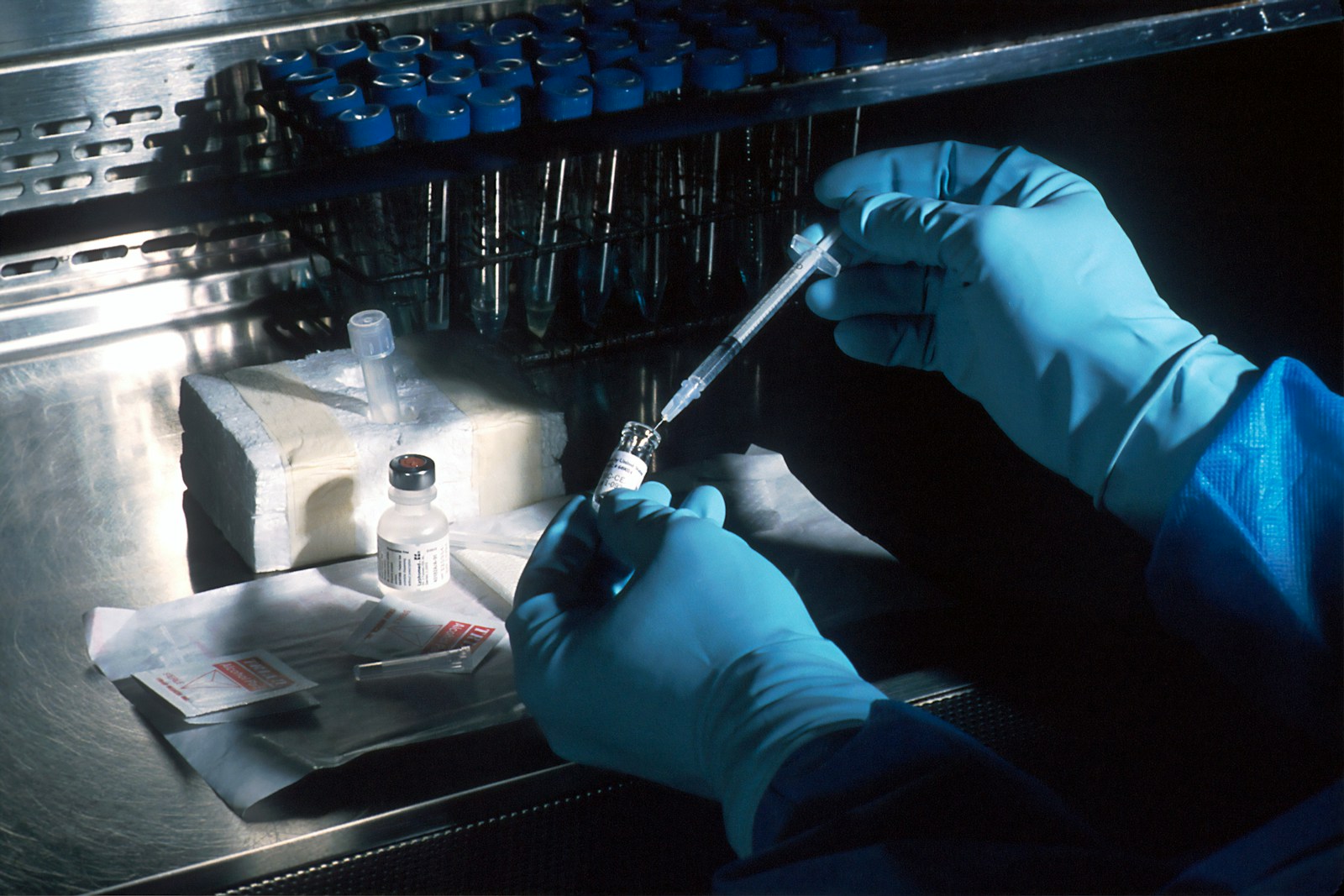 AI and Organoids Revolutionize Drug Testing